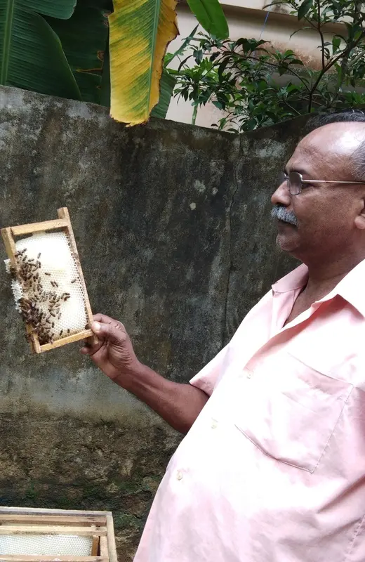 തേനീച്ച കർഷകൻ